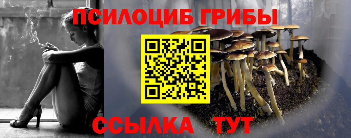 Псилоцибиновые грибы MAGIC MUSHROOMS  Вход с VPN  Орехово-Зуево 